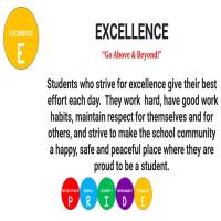 PBIS Final Presentation 2019 (6).jpg