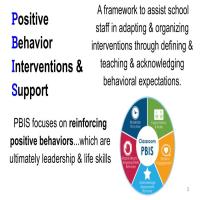 PBIS Final Presentation 2019.jpg